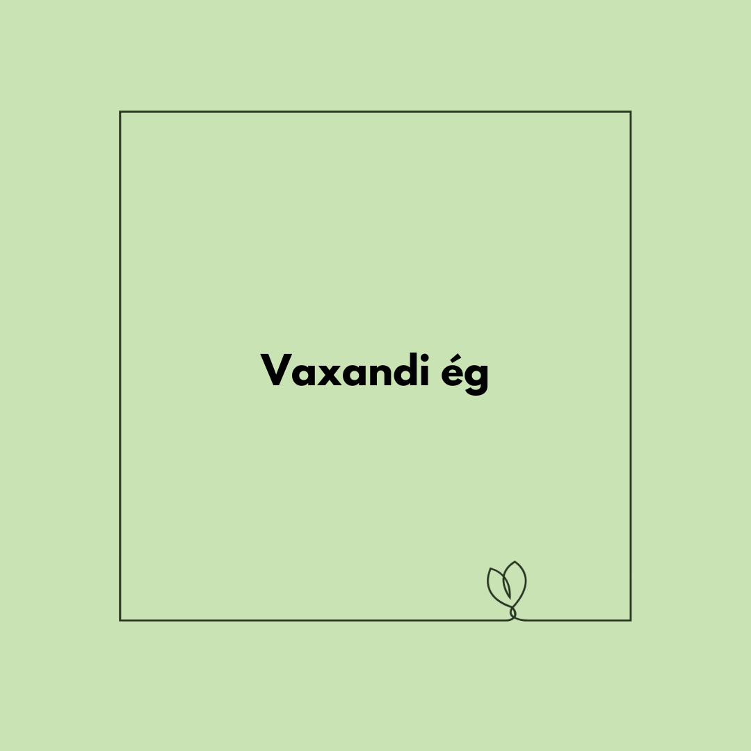 Vaxandi ég - Prógramm