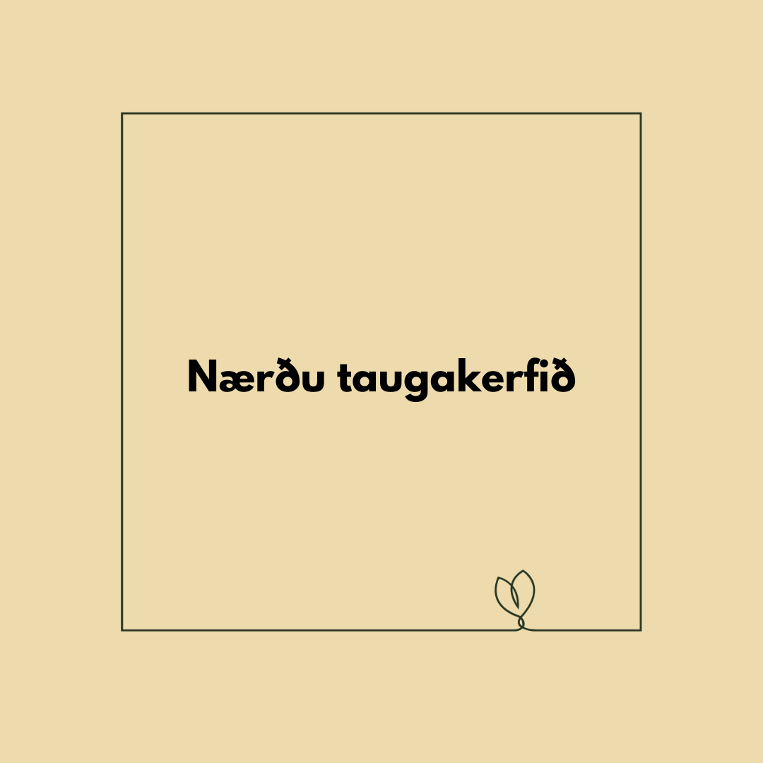 Nærðu taugakerfið - Prógramm