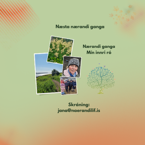 Tengsl hugar og líkama – Ganga fyrir innri ró