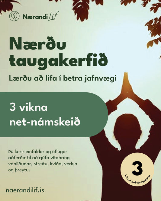 Nærðu Taugakerfið Netnámskeið - Byrjar 5 maí 2025